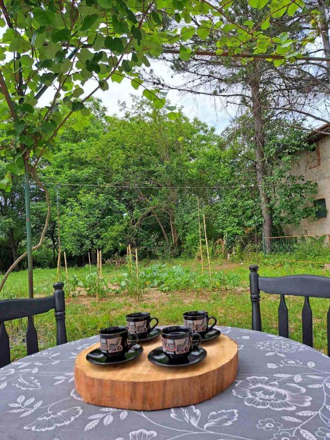 Guest House Green River Ljubuški Εξωτερικό φωτογραφία